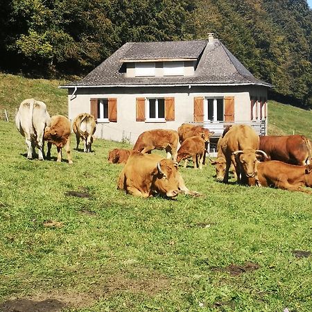 Tourmalet Villa Campan Buitenkant foto